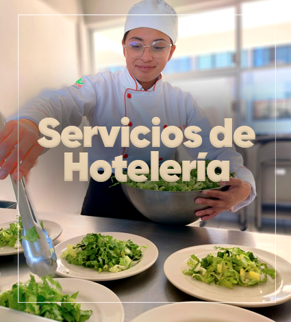 Servicios de Hotelería
